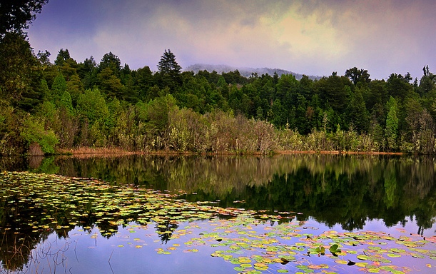 puyehue