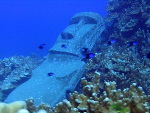 Bucear en Rapa nui