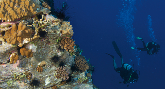 Buceo en Isla de Pascua