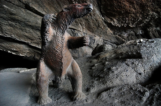 cueva del milodón. Chile
