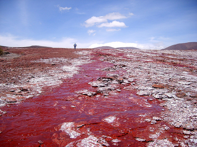 Laguna Roja