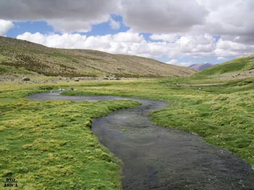 rio lauca