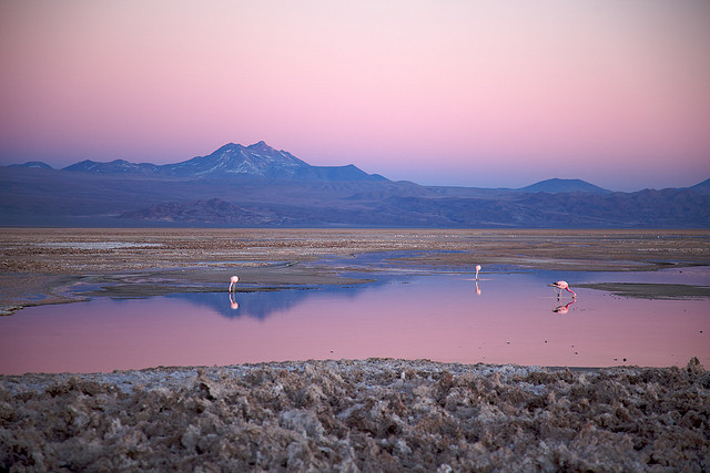 Salar de Atacama