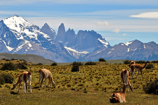 Torres del Paine