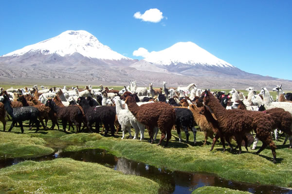 turismo en chile