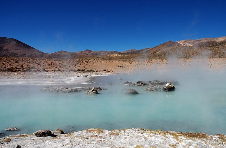 La riqueza del Salar de Surire.