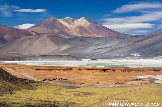 Laguna Miscanti