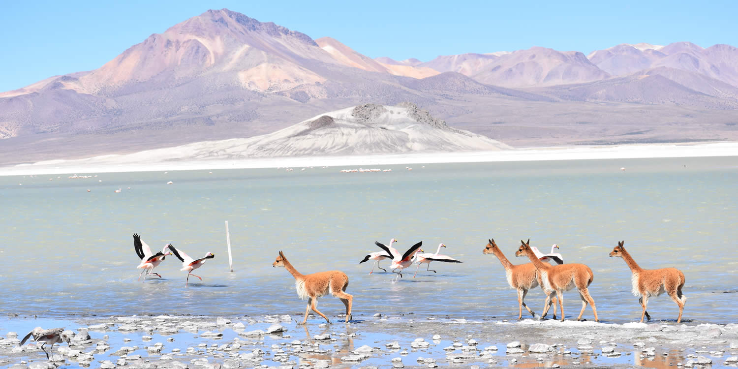 Tours to Chile