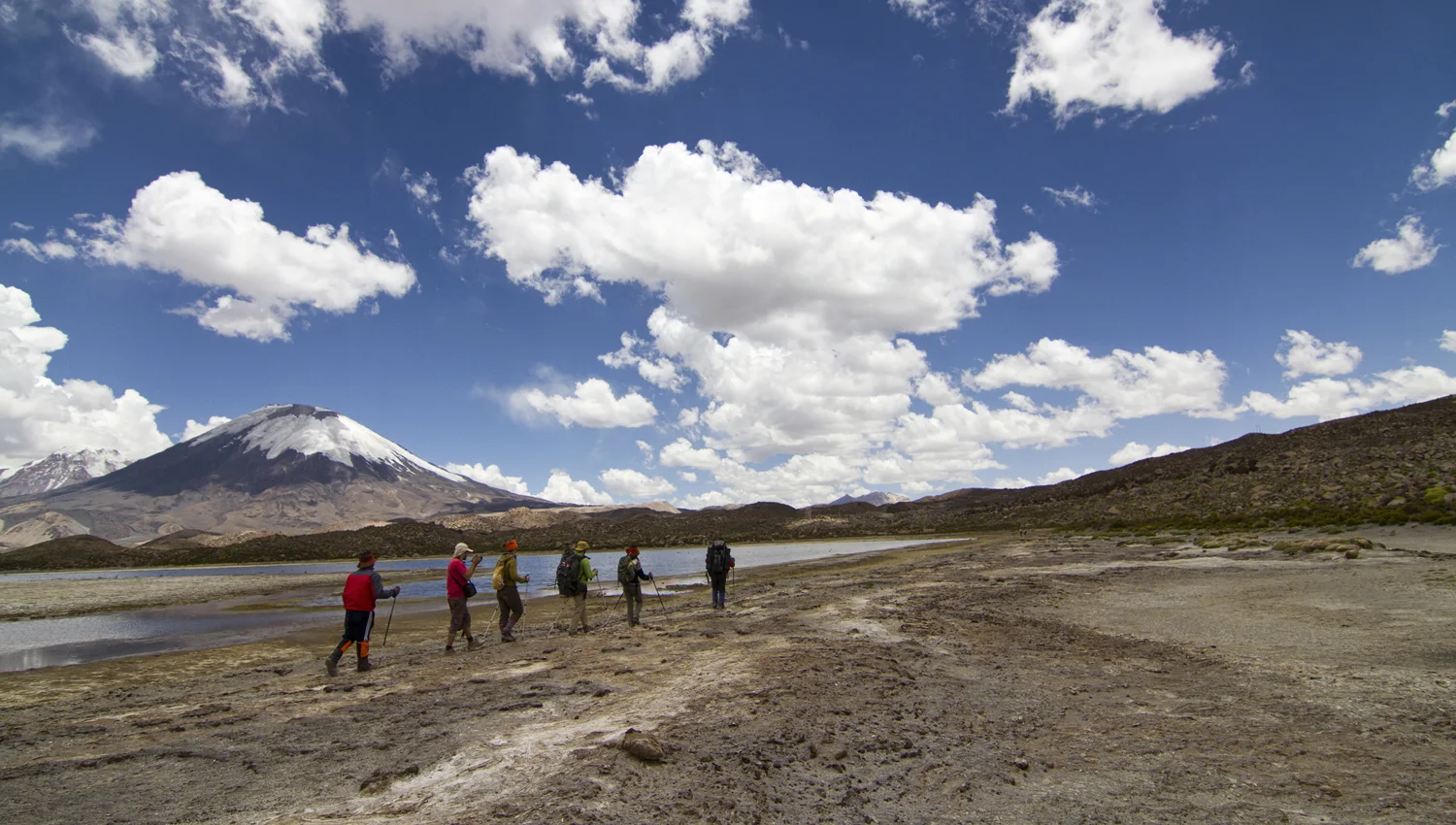 Parco Nazionale Lauca