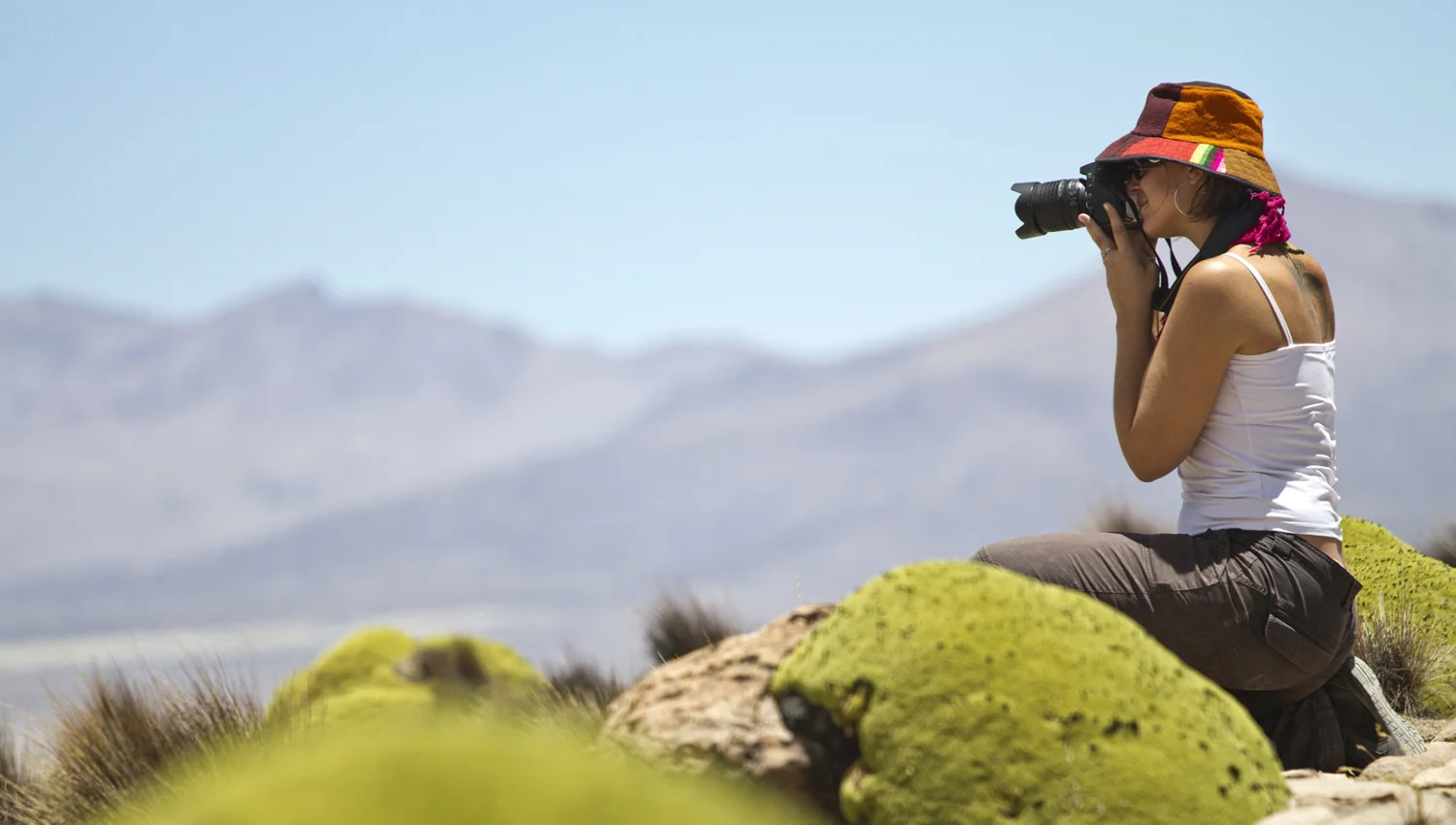 Atacama Desert and Chilean Altiplano