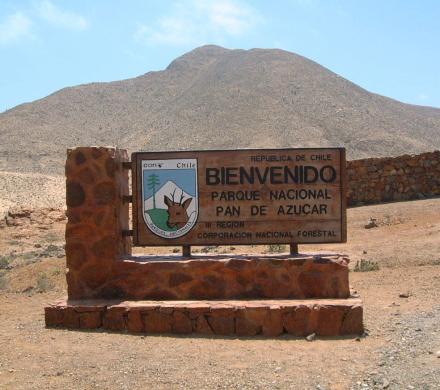 Descubre Chile y su naturaleza