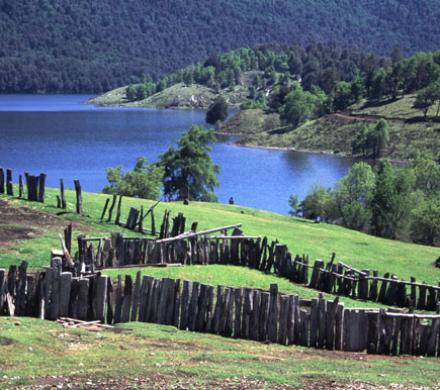 Lago Icalma, Belleza Perdida en la Araucaní­a