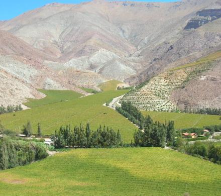 Valle de Elqui: El Encanto De Un Oasis