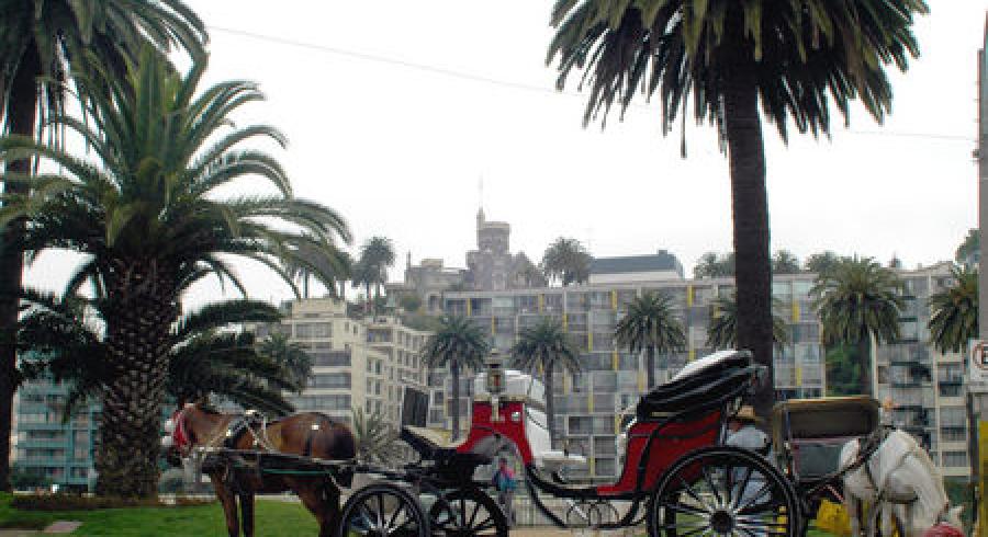 Viajes a Chile, Viña del Mar.