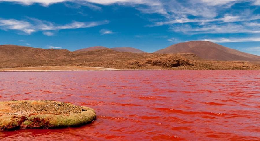 Laguna Roja de Chile. Un Paraje increí­ble