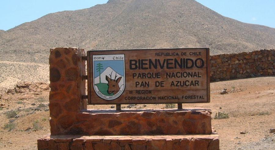 Descubre Chile y su naturaleza