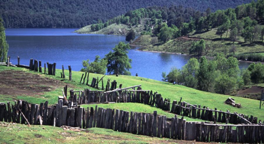 Lago Icalma, Belleza Perdida en la Araucaní­a