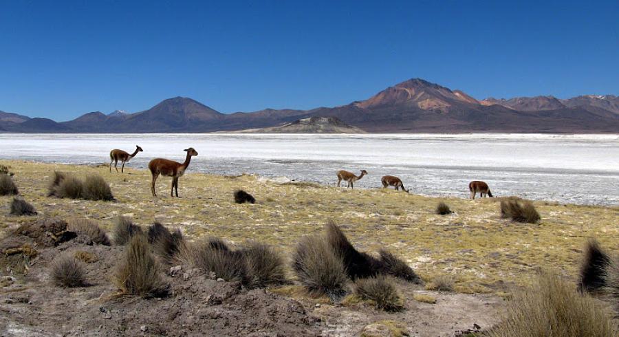 Practica turismo responsable y sostenible durante tus vacaciones