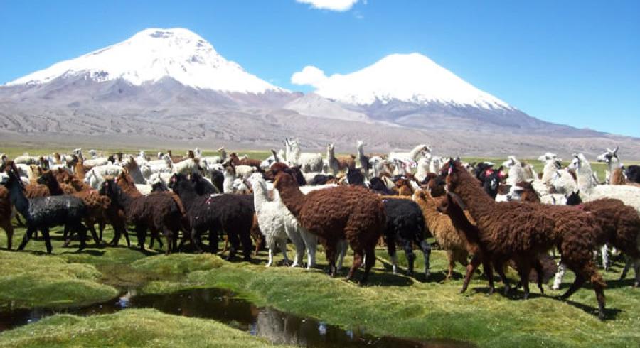 Los Andes en Chile