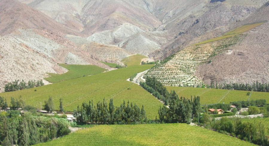 Valle de Elqui: El Encanto De Un Oasis