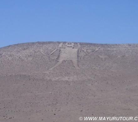 Gigante de atacama