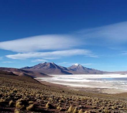 Salar de Surire - Norte de Chile