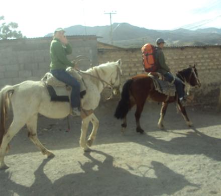 Cabalgatas en Putre