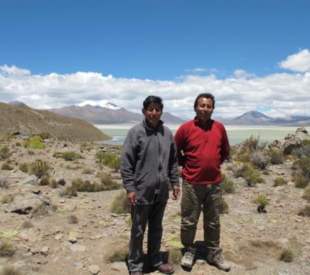 Mayuru Tour - Salar de Surire