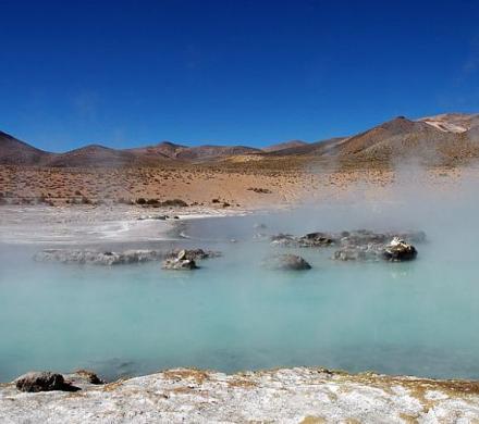 La riqueza del Salar de Surire.