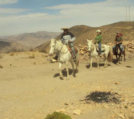 Cabalgatas en Putre