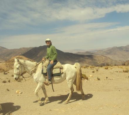 Cabalgatas en Putre