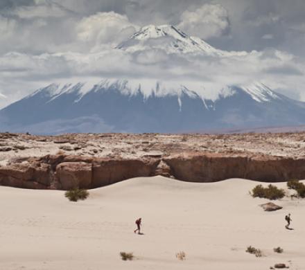 Altiplano Chileno, Desierto de Atacama 