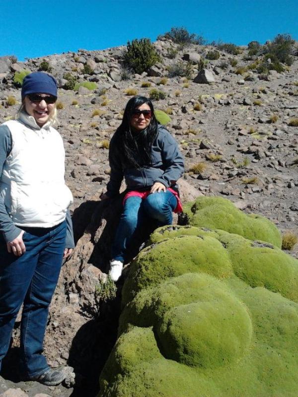 Desierto de Atacama, Altiplano Chileno