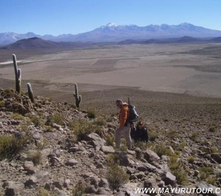Fotos en el Parque Nacional Lauca y Volcán Isluga