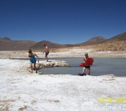 Fotos Monumento Salar de Surire