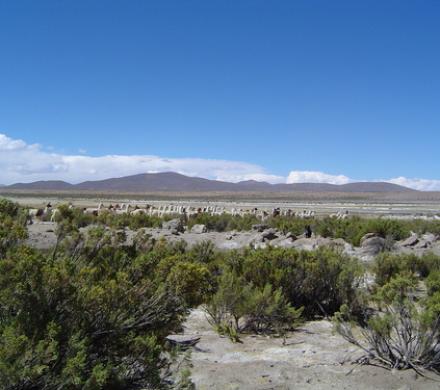 Poblado de Cosapilla