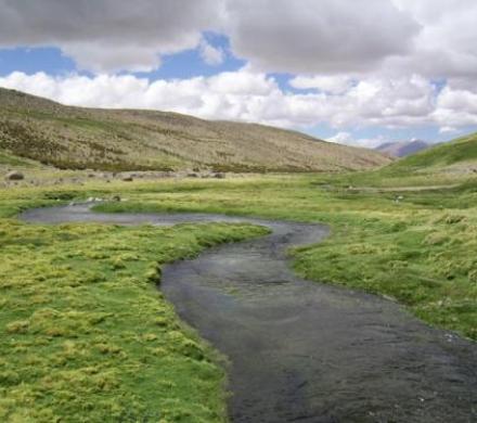 Rí­o Lauca