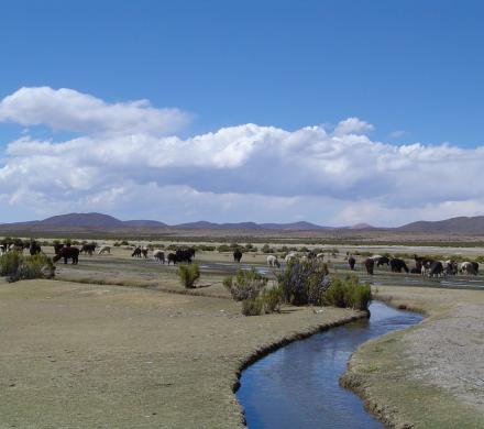 Rí­o Cosapilla