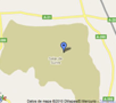 Monumento Salar de Surire