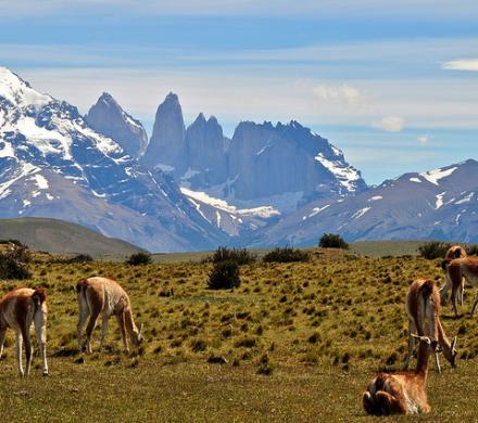 Turismo en la Zona Austral de Chile
