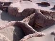 Turismo en Atacama. Arqueológico, Valle de la Luna, Laguna Cejar, Lagunas Altiplánicas, Geyser del Tatio (6 dí­as/5 noches)