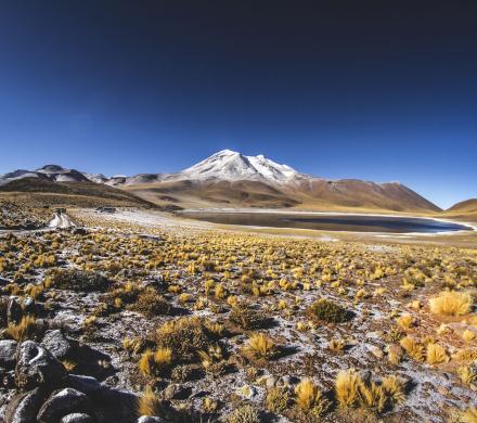 Journey to the Atacama Desert - National Parks - Chilean Highlands (8 days/ 7 nights)