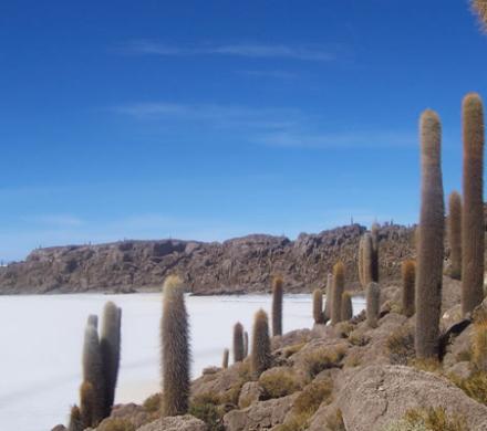 Turismo: Altiplano - Salar de Uyuni Bolivia - Atacama Chile (10 dí­as/9 noches)
