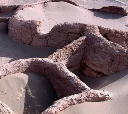 Turismo en Atacama. Arqueológico, Valle de la Luna, Laguna Cejar, Lagunas Altiplánicas, Geyser del Tatio (6 dí­as/5 noches)