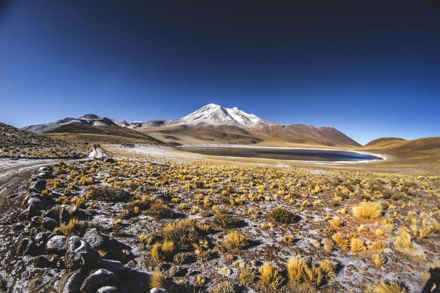 Journey to the Atacama Desert - National Parks - Chilean Highlands (8 days/ 7 nights)