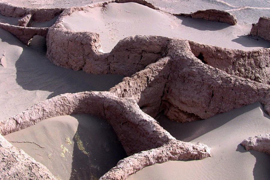 Turismo en Atacama. Arqueológico, Valle de la Luna, Laguna Cejar, Lagunas Altiplánicas, Geyser del Tatio (6 dí­as/5 noches)