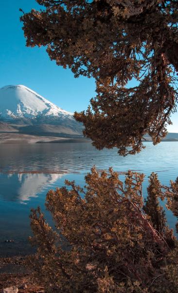 Journey to the Atacama Desert - National Parks - Chilean Highlands (8 days/ 7 nights)