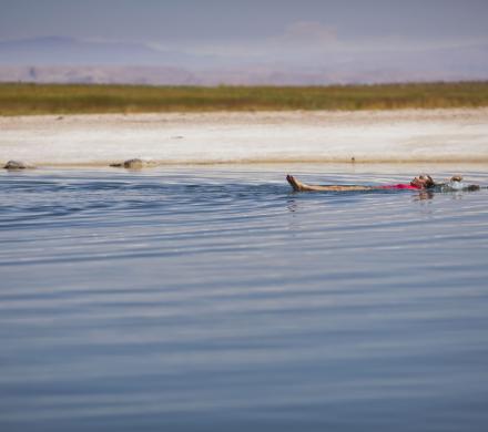 Tourism in the Atacama, Archaeological Tour, Moon Valley, Cejar Lagoon, Highland Lagoons, Tatio Geyser (6 days/ 5 nights)