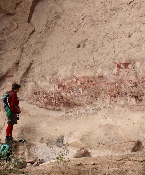 Viaje y Trekking a pinturas rupestres de Vilacaurani (1/2 dí­a)