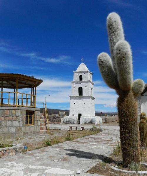 Viaje a Iquique - Colchane - Salar de Surire - Parque Nacional Lauca - Lago Chungará - Arica. (4 días/3 noches)